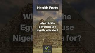 Archaic Living Health Facts: Black seed to support digestion #archaicliving #healthfacts