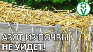 ТАК МОЖНО СЭКОНОМИТЬ НА АЗОТНЫХ ПОДКОРМКАХ! Легкий способ удержать азот в почве