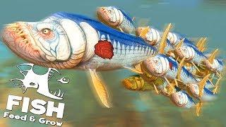 СТАЯ КСИФАКТИНУСОВ ПРОТИВ МЕГАЛОДОНА И АКУЛ! | Feed and Grow Fish