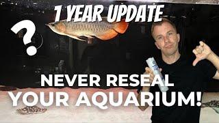 SHOULD YOU RESEAL YOUR AQUARIUM? | SHOWING MY ASIAN AROWANA & STINGRAYS | 335 GALLON TANK