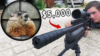 Pest Control with $5,000 Airgun! (Scope Cam)