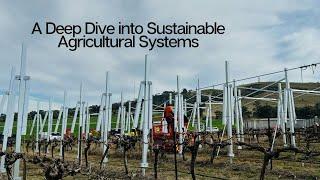 Vine and the Sun: A Deep Dive into Sustainable Agricultural Systems