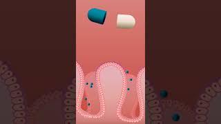 Medicine Digestion: What Happens After You Swallow a Pill?