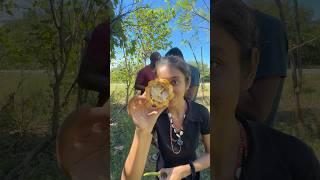 World’s Best Quality Vanilla in Madagascar  #trending #viralvideo #youtubeshorts #africa
