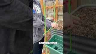 My Favorite Garden Product that I’ve Used for Ten Years