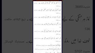 #ImamAli qoutes #youtube#youtubeshorts#ytshorts#babul ilm