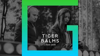 Tiger Balms @ Gotoparty.ru Festival 2019