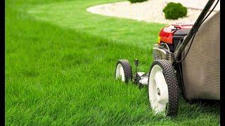 How to Properly Mow a Lawn - Is Mowing Tall or Short Better for the Roots?