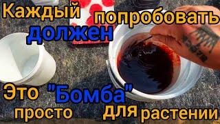 САМОЕ ЛУЧШЕЕ УДОБРЕНИЕ ЧТО Я ВИДЕЛ В ЖИЗНИ. Для развития и роста любых культур. ПОШАГОВО КАК ГОТОВИТ