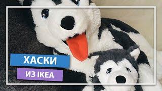 СИБИРСКИЙ ХАСКИ ИЗ ИКЕИ | ИГРУШКА ЛИВЛИГ ОБЗОР