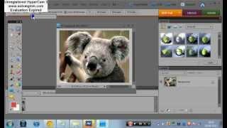 Adobe Photoshop Elements 8 tutorial part 1/3