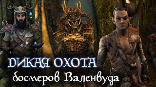 Дикая Охота босмеров Валенвуда | The Elder Scrolls Лор