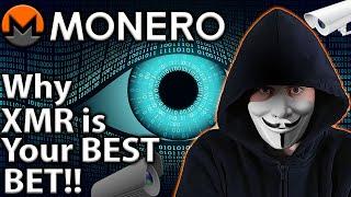 Monero: BULLISH on XMR Now More Than Ever 
