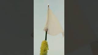 ALAMBARDAR AATA HAI #alam #azadarinetwork #karbala #viral #youtubeshorts #viral #trending #shorts