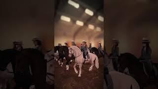 #horsegaming #sso #starstable #starstableonline #старстейбл #старстейблонлайн