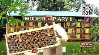 How to be a Modern BeeKeeper from Day 1 till harvest