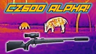 Hog Hunting at Night with the CZ600 Alpha!