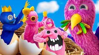 Garten of Ban Ban против Roblox Rainbow Friends! Строим домик для Opila Bird и Chef Pigster!