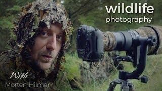 RED DEER - WILDLIFE PHOTOGRAPHY - behind the scenes vlog with wildlife photographer Morten Hilmer