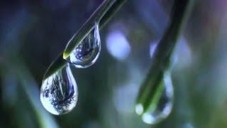 Relaxing music