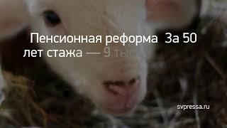 Новость дня: "Источник: к министру Наталье Мазиной пришл..." и другие главные новости за 2020-01-04