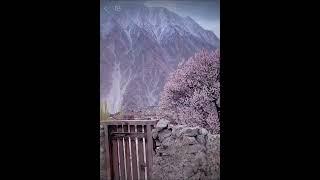 A glimpse into the daily life of Wakhi people in Hunza #WakhiPeople #wakhi #wakhiculture #foryouシ