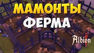 Ферма Мамонтов Альбион Онлайн как заработать на премиум Albion Online вырастить продать мамонтенка