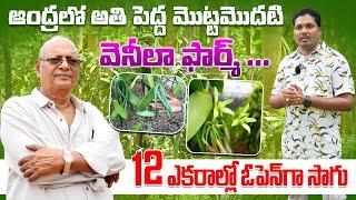 వక్కలో అంతర పంటగా వెనీలా సాగు | Open Land Vanilla Cultivation as Intercropping | AgriTech Telugu