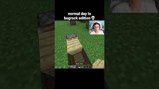 Minecraft Bugrock Moment