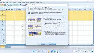 How to restructure the data in SPSS?