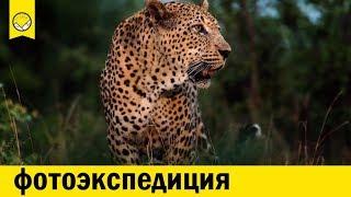 Фотоэкспедиция с Сергеем Горшковым | Африка 16+