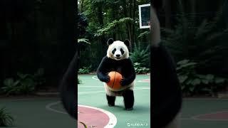 #panda #wholesomecontent #cuteanimal #cutepet #cute #babypanda #animals #bearfunny #wildlife #nature