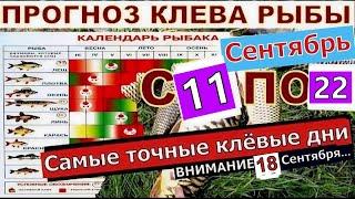 Лунный прогноз клева рыбы на эту неделю с 11 по 22 Сентября 2024. Коптильня BRAVO 2