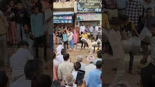 Wagad Wagad Wagad #wagad Wagad #jdvlogs jd vlogs Wagad 4 April 2024 wagad #wagad #jdwagad
