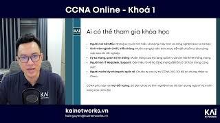 CCNA Online – Chương Trình Cấp Tốc Dành Cho Người Bận Rộn!