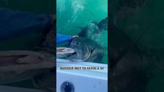How to catch Giant Trevally in five seconds  #gianttrevally #gtfishing #fishing #fish #ocean #viral