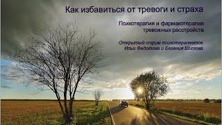 Как избавиться от тревоги и страха - Психотерапевты  Евгений Шитов и Илья Федотов