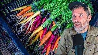 Growing in Sand VS Clay Soils + How I Grow Carrots in Clay