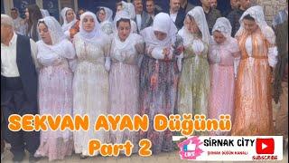 AYAN AİLESİNİN DÜĞÜNÜ PART 2 Şırnak düğünleri