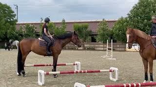 Training session with Olympic Lady Dutch (5 yo) - Equestria, 03rd May 2024