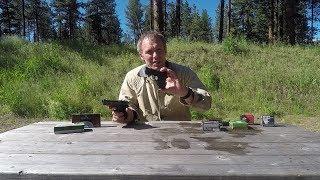 Concealed carry:   .380 ACP ammo selection.