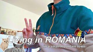 Daily Life in Romania, Cooking Romanian Cabbage Stew, Shopping, Silent Vlog / Vlogmas