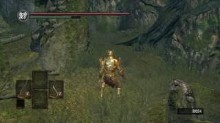 Moveswap - Dark Souls glitch