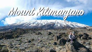 MOST Successful Route on Kilimanjaro | Northern Circuit Route Part I