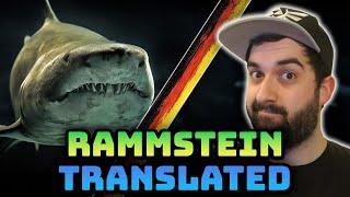 Rammstein Haifisch: Learn German with Lyrics and Song Meaning | Definitely German