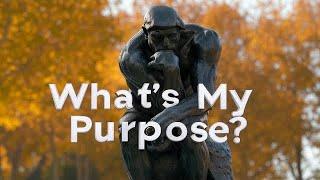 What’s My Purpose? Walk and Talk