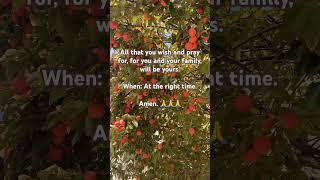 #prayer #hope #persimmonfruit #unstoppable #life #lifelessons #quotes #motivational #motivation