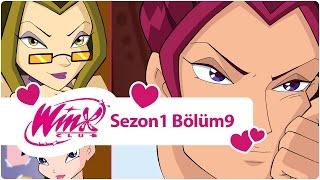 Winx Club - Sezon 1 Bölüm 9 - Daphne Kim?