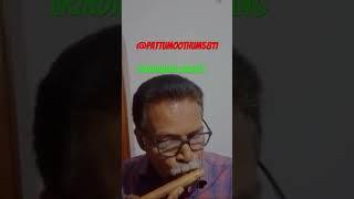 01:11:2023 Rag brindavani sarang @pattumoothum5811