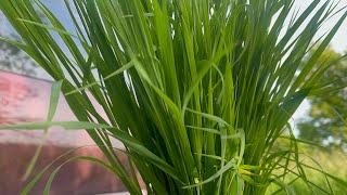 ￼Survival food & You! - Preparation for the time ahead.